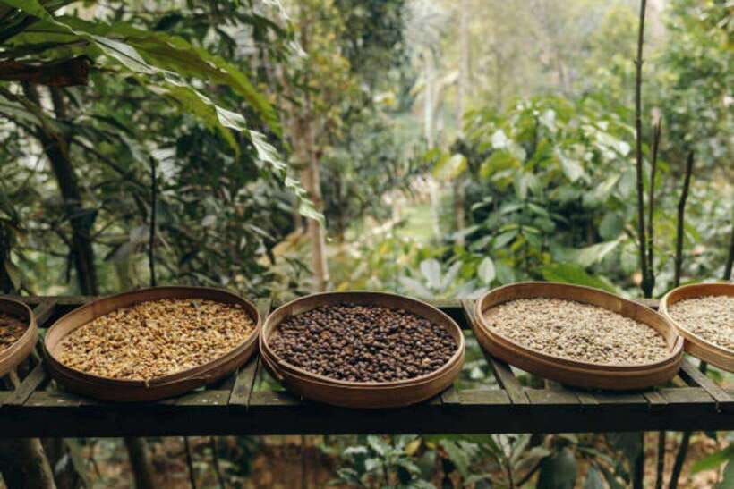 Ubud: Water Temple, Rice Terrace, and Waterfalls Tour - The real cost is more than $30