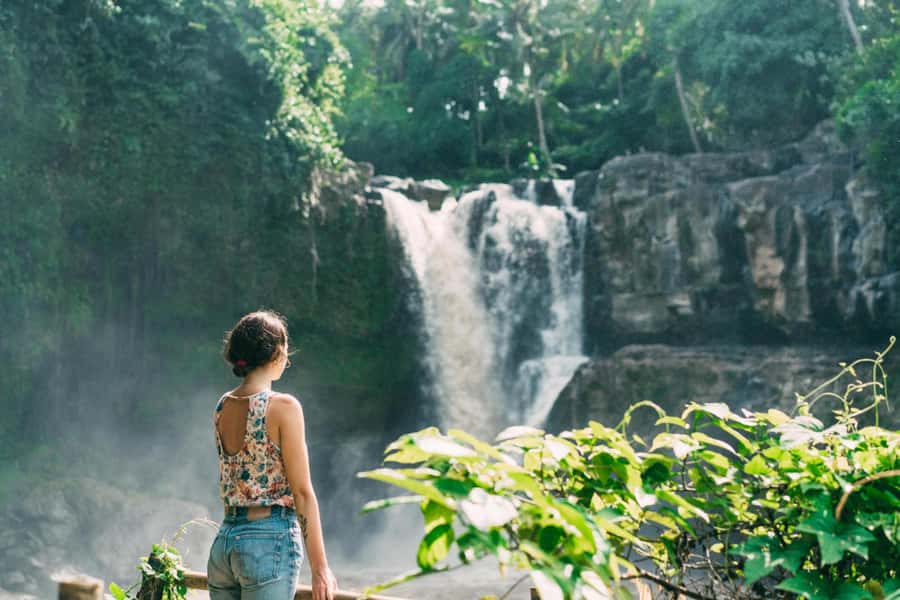 Ubud: Waterfall, Rice Terrace & Temple Private Day Tour - Why this Ubud day tour works well