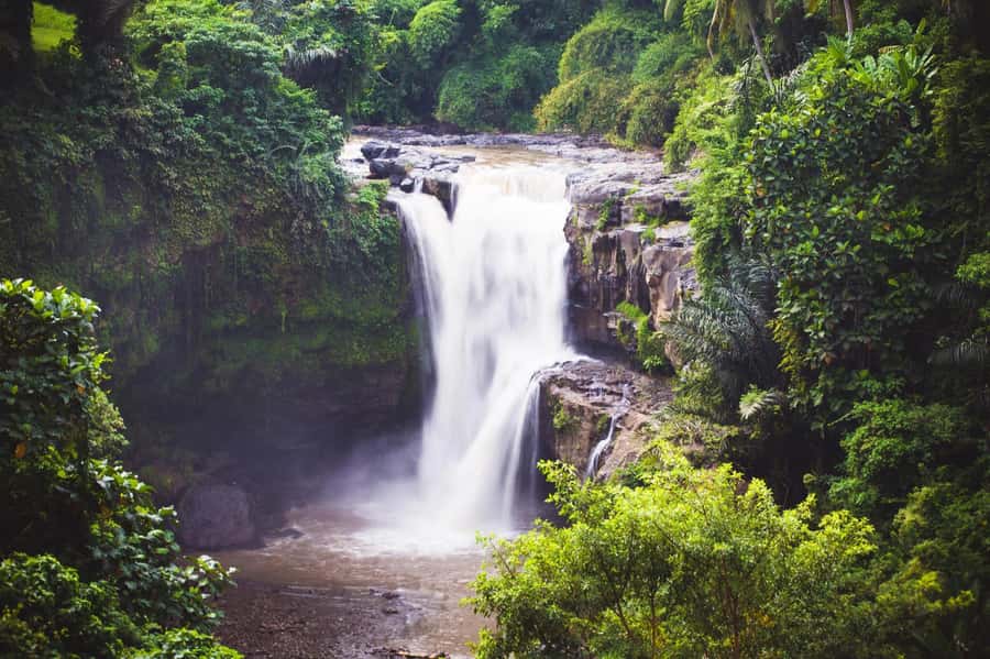 Ubud: Waterfall, Rice Terrace & Temple Private Day Tour - Tegenungan Waterfall: a dramatic first stop