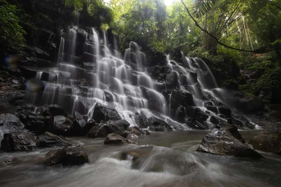 Ubud: Waterfall, Rice Terrace & Temple Private Day Tour - Saraswati Temple and Ubud’s cultural center