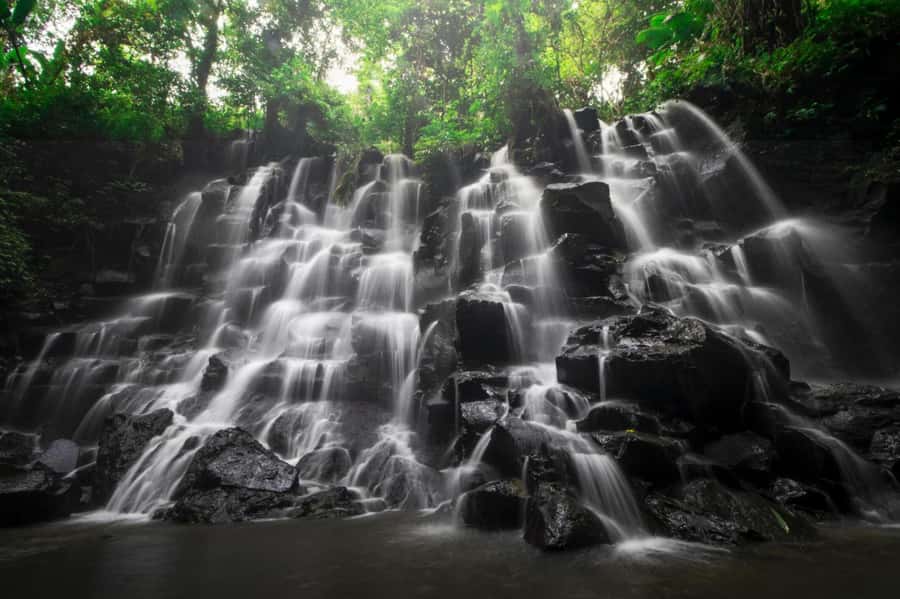 Ubud: Waterfall, Rice Terrace & Temple Private Day Tour - What the private guide adds