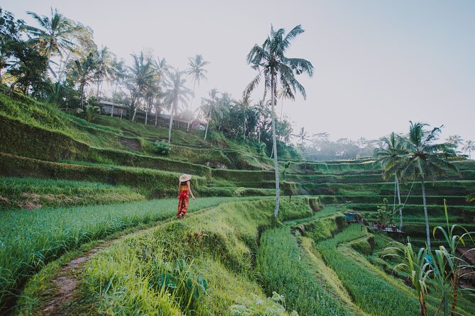 Ubud: Waterfall, Rice Terraces, and Monkey Forest Private Tour - Close encounters at the Sacred Monkey Forest