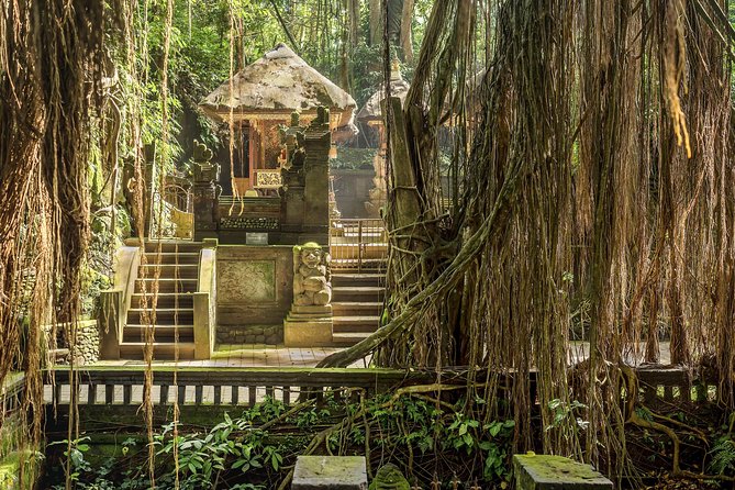 Ubud: Waterfall, Rice Terraces, and Monkey Forest Private Tour - A short stop at Ubud Traditional Art Market