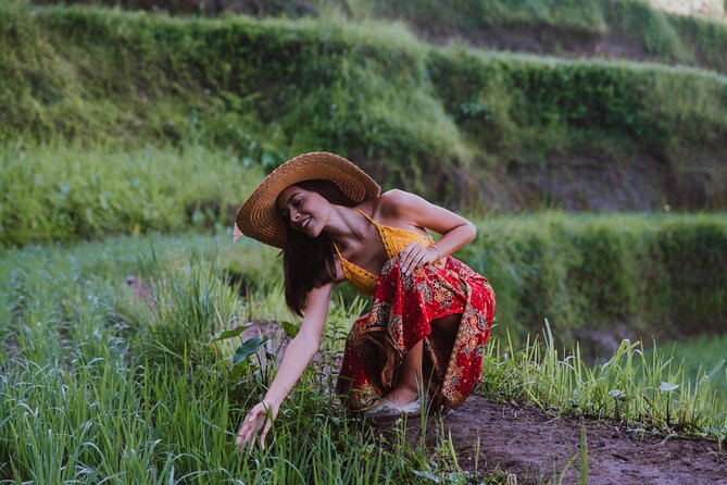 Ubud: Waterfall, Rice Terraces, and Monkey Forest Private Tour - Lunch and a useful break in the middle