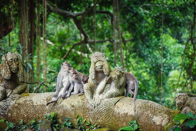 Ubud: Waterfall, Rice Terraces, and Monkey Forest Private Tour - Campuhan Ridge Walk and the Hill of Love