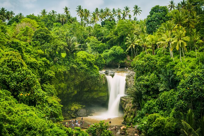 Ubud waterfall, rice terraces, and swing explore - The Ubud Jungle Swing costs extra