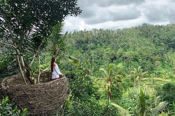 Ubud waterfall, rice terraces, and swing explore - The $41 price and the true daily cost
