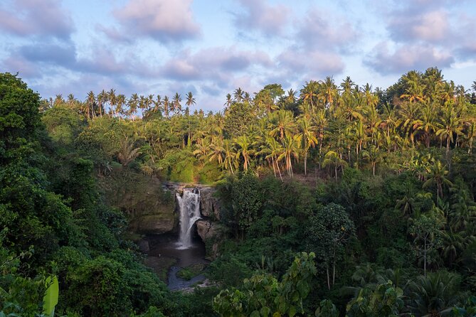 Ubud waterfall, rice terraces, and swing explore - Who will enjoy this Ubud day most