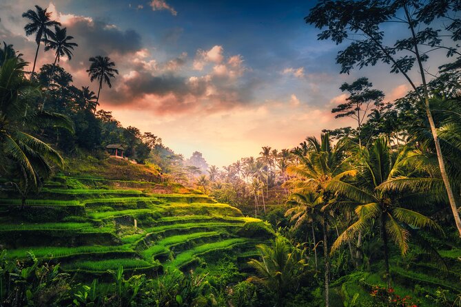 Ubud waterfall, rice terraces, and swing explore - Walking through Tegalalang’s rice terraces