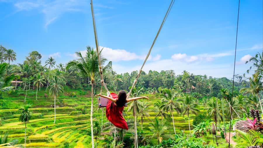 Ubud: Waterfall, Rice Terraces & Monkey Forest Private Tour - What makes this Ubud day worth your time
