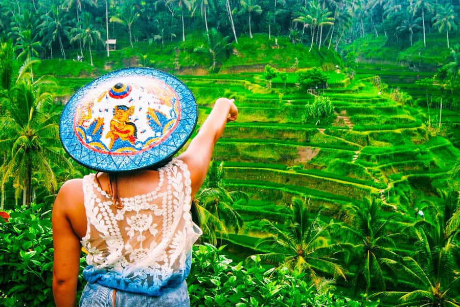 Ubud: Waterfall, Rice Terraces & Monkey Forest Private Tour - A packed route through Ubud’s best-known sights