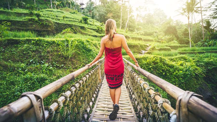Ubud: Waterfall, Rice Terraces & Monkey Forest Private Tour - Tirta Empul: Bali’s spiritual heart