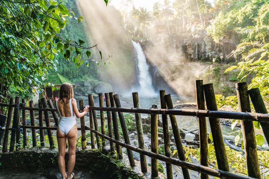 Ubud: Waterfall, Rice Terraces & Monkey Forest Private Tour - Monkey Forest: temples among the macaques