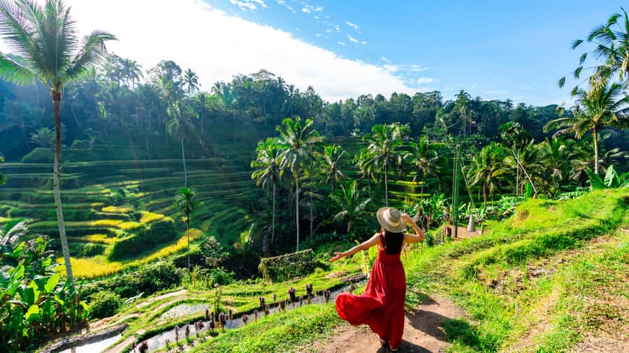 Ubud: Waterfall, Rice Terraces & Monkey Forest Private Tour - Coffee plantation and luwak coffee