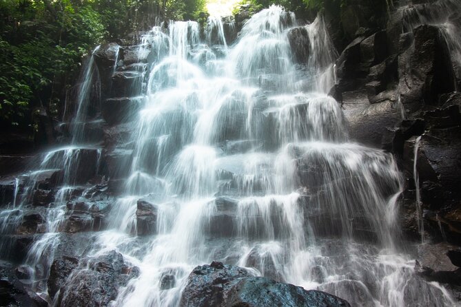 Ubud Waterfalls and Rice Terraces Private Day Tour - A long Ubud day built around water and rice fields