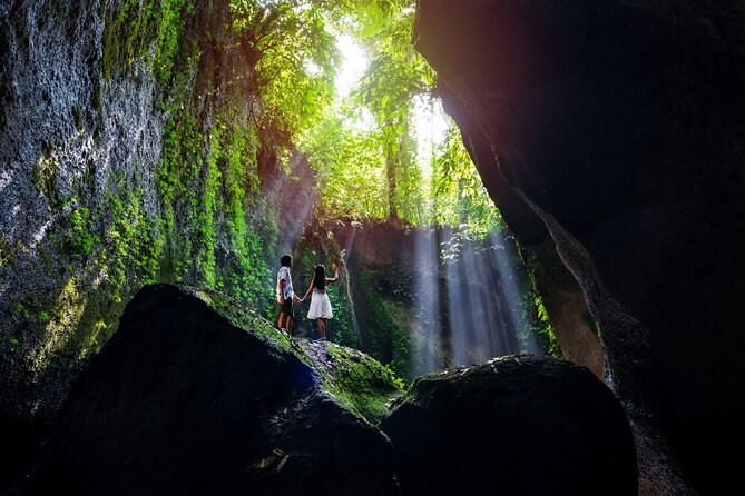 Ubud Waterfalls and Rice Terraces Private Day Tour - Private transport matters more than it first appears