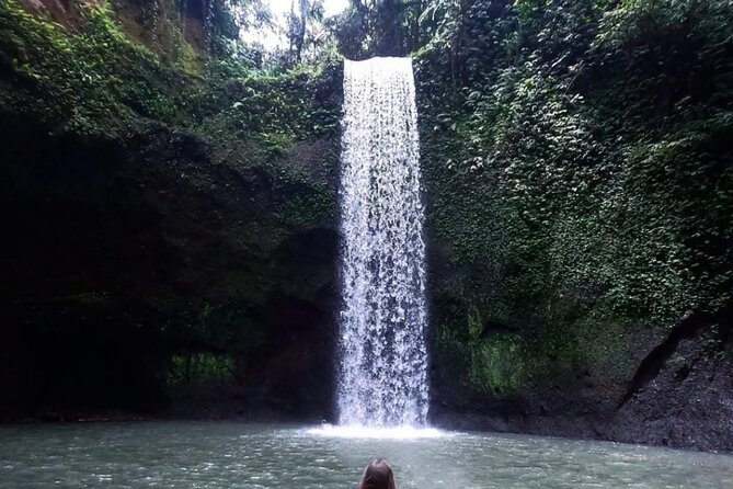 Ubud Waterfalls, Rice Terrace & Jungle Swing - Private Tour - Key details before you book