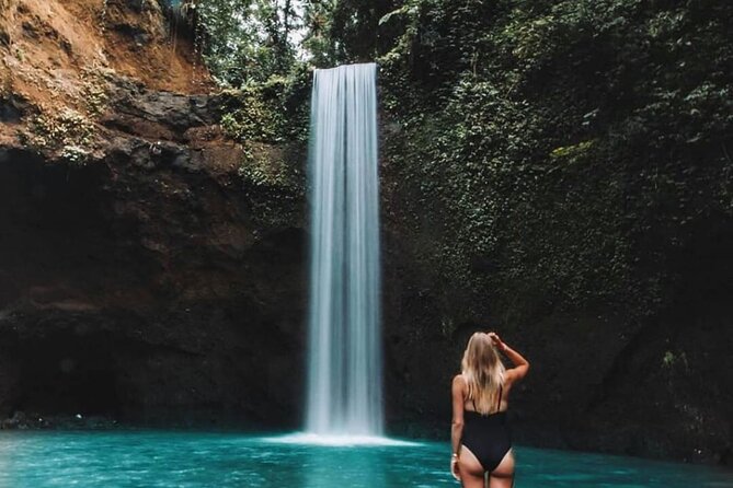 Ubud Waterfalls, Rice Terrace & Jungle Swing - Private Tour - Tegalalang Rice Terrace as the final scene