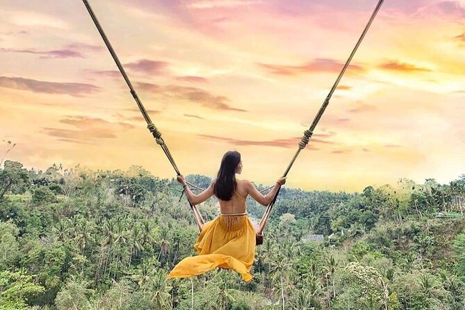 Ubud Waterfalls, Rice Terrace & Jungle Swing - Private Tour - What the vehicle and pickup arrangement mean