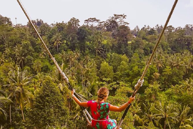 Ubud Waterfalls, Rice Terrace & Jungle Swing - Private Tour - Who will get the most from this day