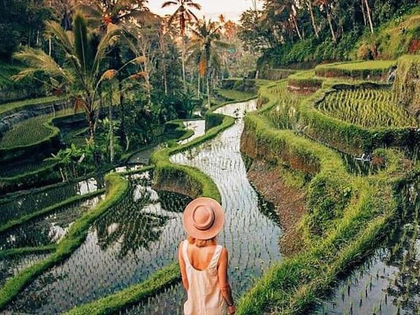 Ubud: Waterfalls, Temple, and Rice Terrace Private Day Tour - What the $25 price really covers