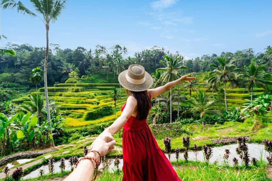 Ubud: Waterfalls & Temple with Rice Terrace Small-Group Tour - Who should book this Ubud day trip?