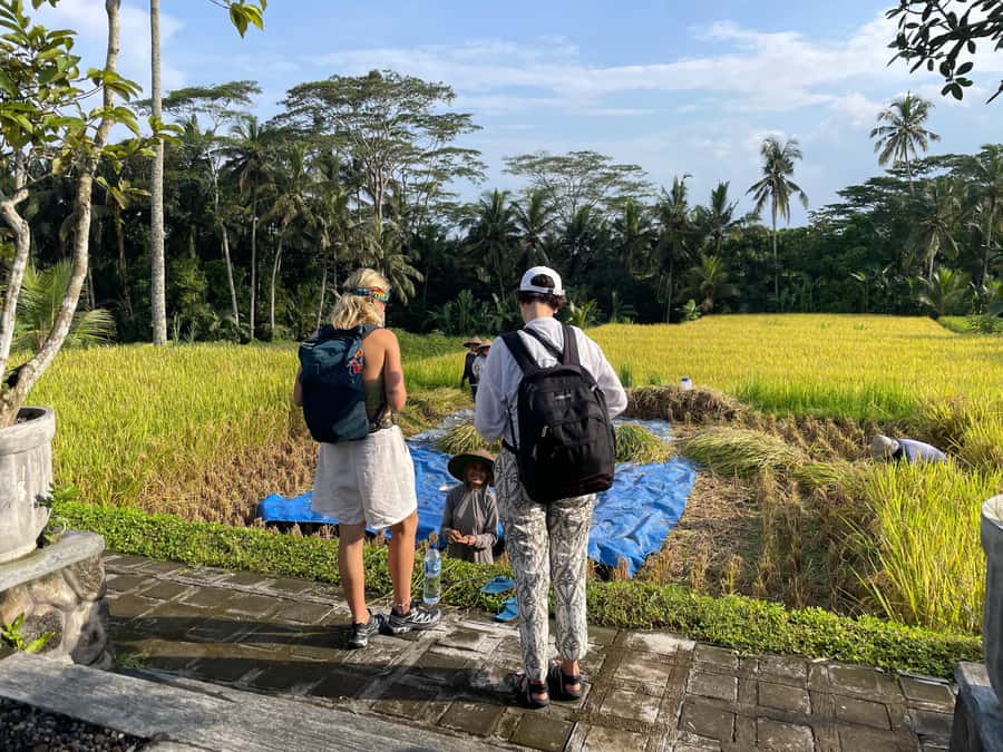 Ubud: Waterfalls, Water Temple & Rice Terraces Private Tour - Kanto Lampo and the cascade over black rock