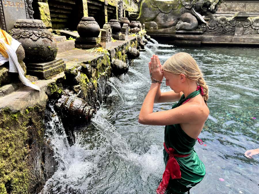 Ubud: Waterfalls, Water Temple & Rice Terraces Private Tour - The private car is a major part of the value