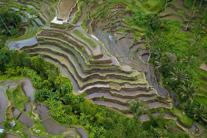 Ubud White Water Rafting, Rice Terrace and Jungle Swing - Why the private format matters
