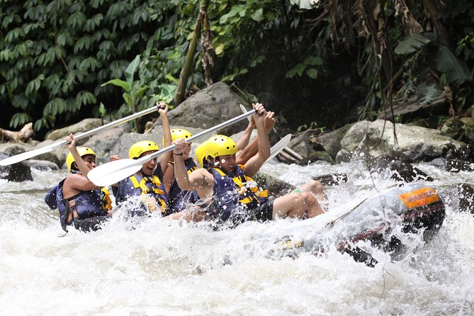Ubud White Water Rafting, Rice Terrace and Jungle Swing - Booking advice for a smoother day