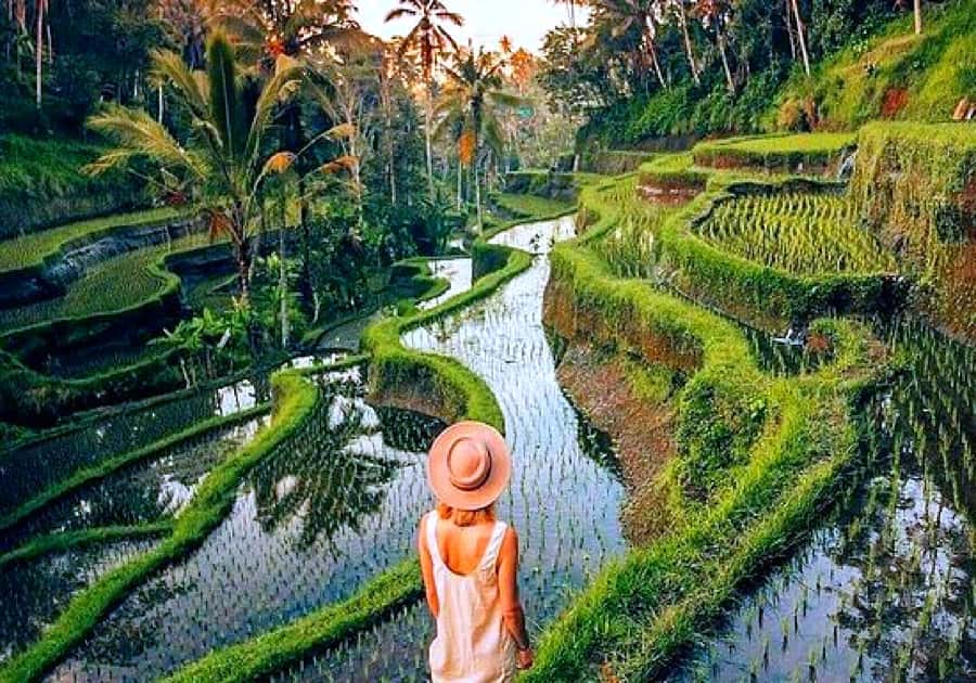 Ubud: Zip-line Adventure, River Rafting & Rice Terraces Tour - Lunch, showers, towels, and a useful reset