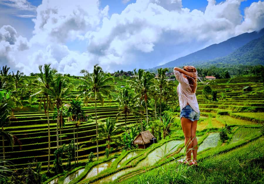 Ubud: Zip-line Adventure, River Rafting & Rice Terraces Tour - Is $22 good value?