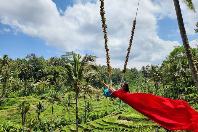 Ubud: Zipline, Bali Swing, and Sky Bike in a Private Rice Terrace - Who will enjoy this Ubud outing