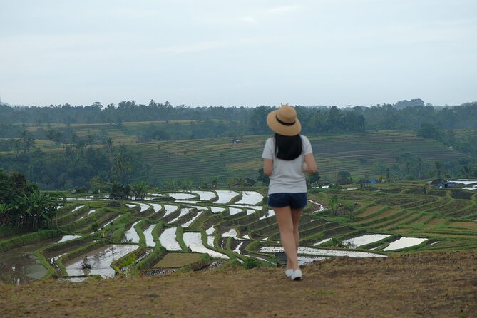 Ulundanu Bratan Temple, Jatiluwih Rice Terrace and Tanah Lot Sunset Tour - Taman Ayun, a calm first temple stop