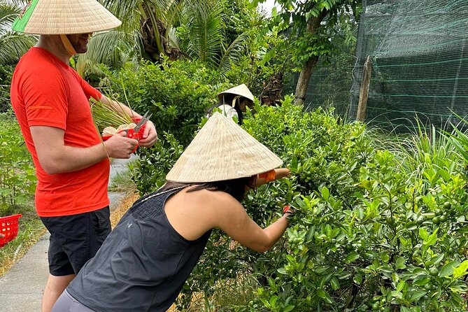 Unique Farm to Table Cooking Class with Top Chef in Vietnam - Cooking four dishes with guidance from the chefs