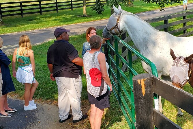 Unique Horse Farm Tours with Insider Access to Private Farms - The ride from Manchester Street into the farms
