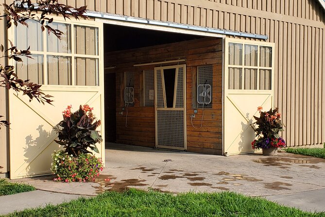 Unique Horse Farm Tours with Insider Access to Private Farms - Timing, walking, and weather considerations