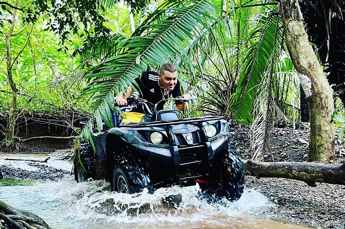 Unique Pineapple Farm Tour on 4 wheels - Key points to know before you book