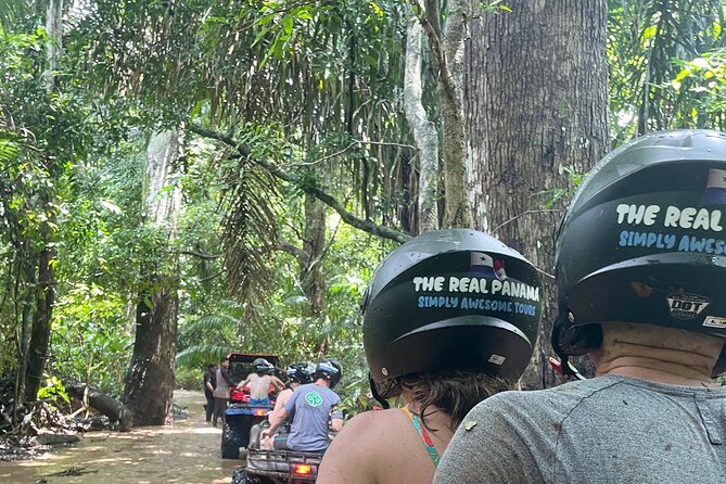Unique Pineapple Farm Tour on 4 wheels - Pineapple fields and the farm-side experience