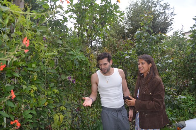 Urban Orchard in Desierto de los Leones in Mexico City - Practical details before you reserve