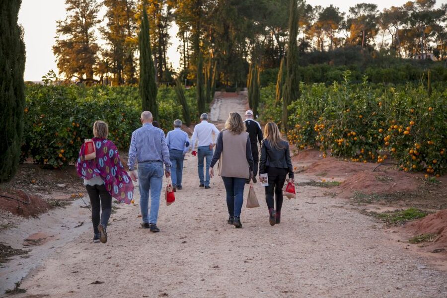 Valencia: Orange Farm and Orchard Trip with Tastings - Why an orange farm is worth leaving Valencia for
