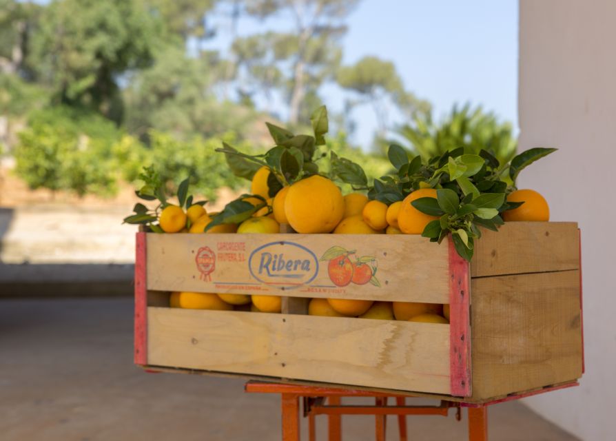 Valencia: Orange Farm and Orchard Trip with Tastings - Who will enjoy this two-hour farm visit?