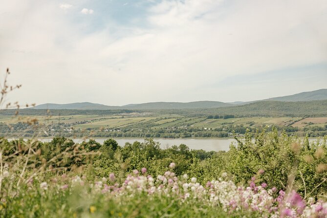 VIP Agritourism Tour of Île d’Orléans & Montmorency Falls (Lunch) - Lunch makes the price easier to judge