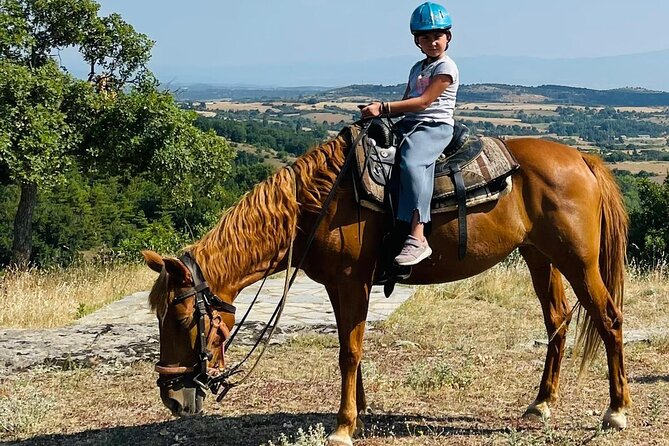Visit a Farm and Horseback Riding in Nature - Key points to know before you book
