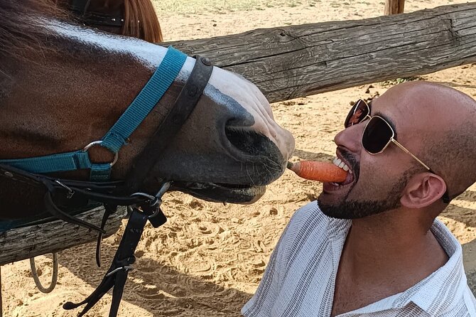 Visit a Farm and Horseback Riding in Nature - Meeting the horses after the ride