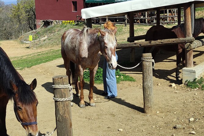 Visit a Farm and Horseback Riding in Nature - What the $102.56 price includes in practical terms