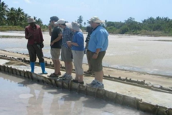 Visit Sisal Plantations & Processing Factory - Full Day Tour - Starting at Amboni Caves