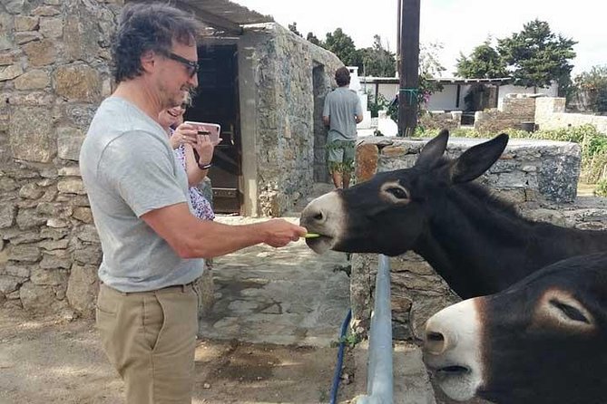 Visit the Mykonian Farm in Mykonos - Key things to know before booking
