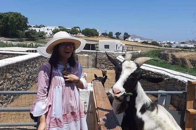 Visit the Mykonian Farm in Mykonos - A working farm instead of another Mykonos beach stop