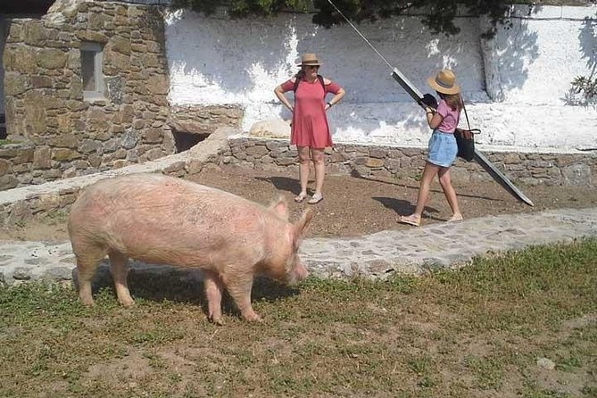 Visit the Mykonian Farm in Mykonos - The farmer’s snack: simple food, strong local character